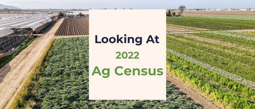 Farm field in Ventura County