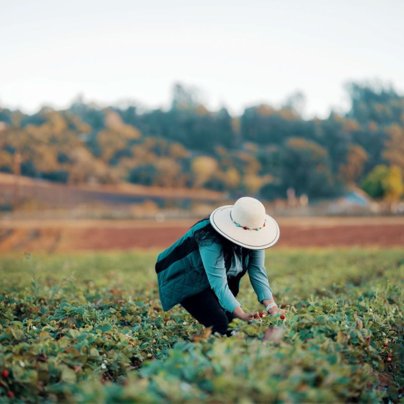 latina woman in farm field among crops