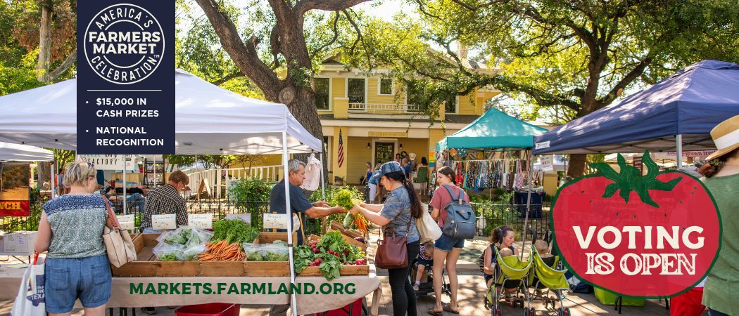 farmers markets and people shopping at booths