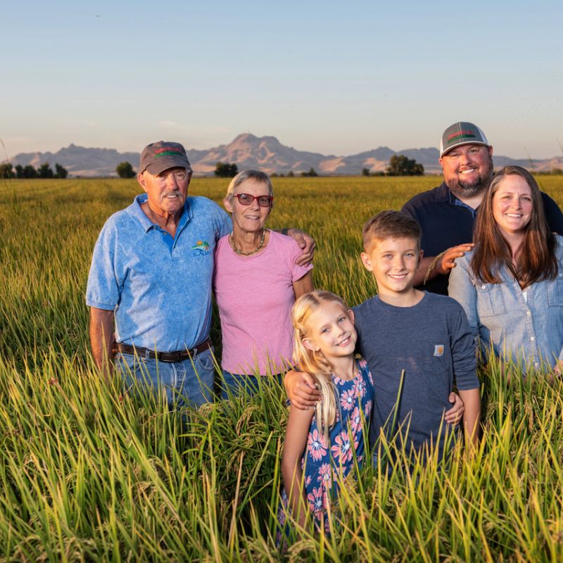 farming family in a field of wheat