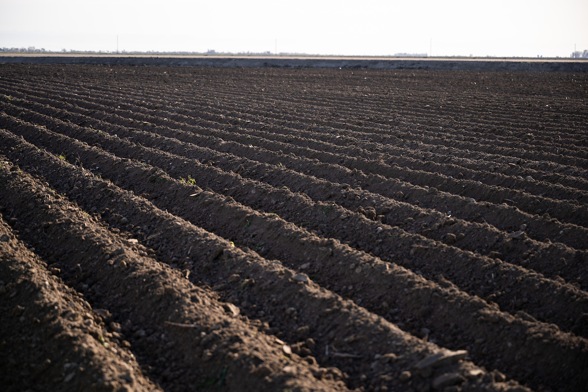 Biochar is helping California farmers.